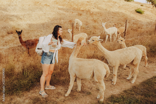A person interacts with alpacas at a rehabilitation center in Grândola, Portugal. The sunny autumn day showcases the animals in a dry valley setting, promoting nature conservation.