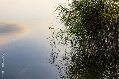 Spiegelung mit See und Schilf in Seedorf am Schaalsee