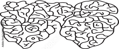 Abstract brain neural network illustration with interconnected paths and nodes representing cognitive processing on white background.