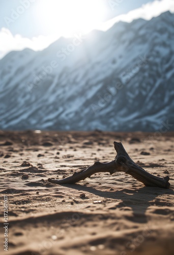 Driftwood on sand snow dusted landscape dramatic mountain shadow