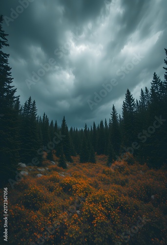 Forest clearing vibrant colors dramatic storm clouds
