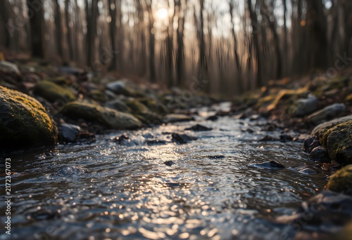 Woodland stream frost covered surface warm late afternoon glow