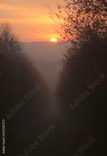 Sunset sky misty atmosphere crisp autumn air