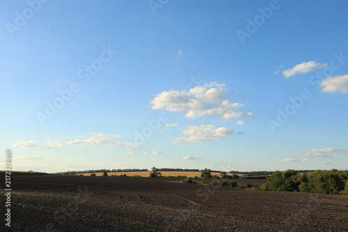 Curved circular plow patterns on rich black soil in an agricultural field after tractor cultivation
