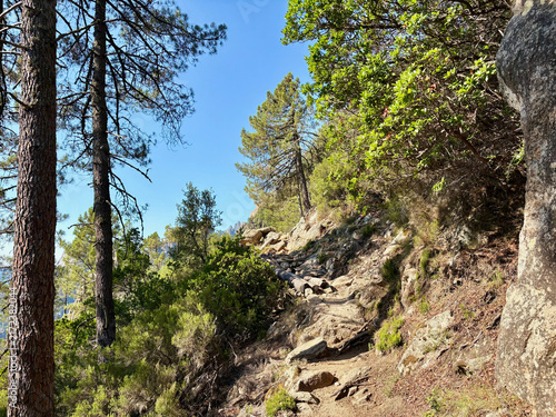 Cuadro en lienzo Paysage du GR20 en Corse entre les Aiguilles de Bavella et le refuge de Paliri