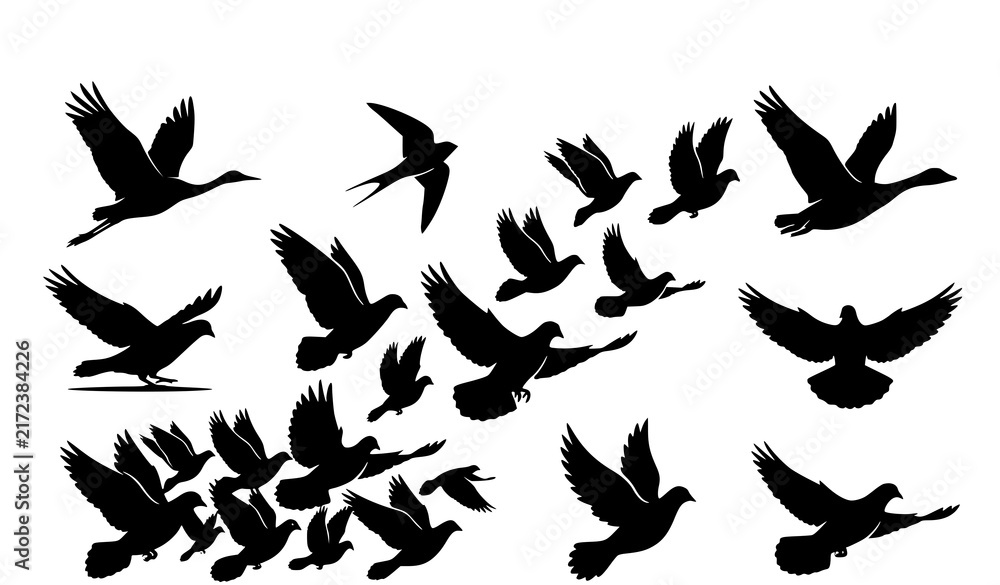 Naklejka premium Black Silhouette Vector Set of Large Migrating Flock of Birds Including Pigeons Doves Geese and Swallows for Nature Freedom and Sky Concept Designs