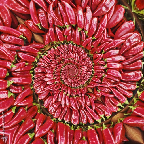 red dahlia flower