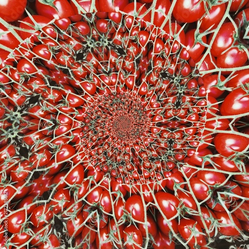 red and white flower