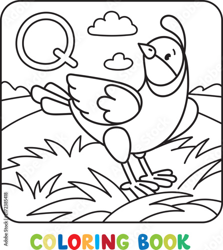 Funny quail. Animals coloring book Alphabet Q