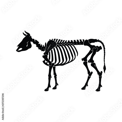 Skeleton cow silhouette icon vector flat design.