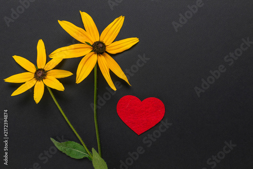 Foto Yellow Flowers and Red Heart on Black Background: Symbol of Love and Nature
