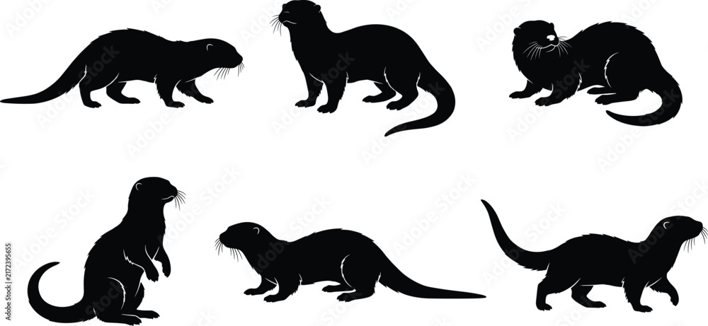Obraz premium Set of black otter silhouettes in various poses isolated on white background for wildlife design