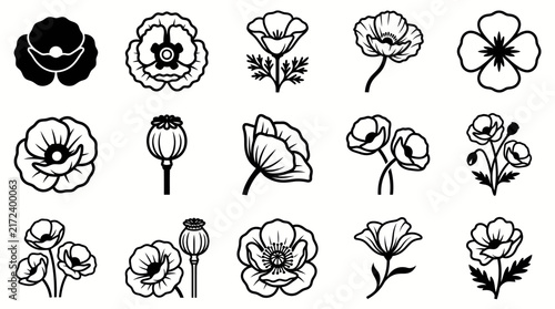 Poppy flower icon collection, hand drawn black and white outlines, vintage line art botanical set, floral tattoo design elements, engraving style vector illustrations