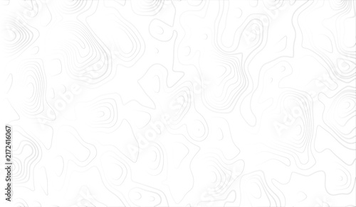 Topographic map contour lines pattern, abstract geographic elevation lines on white background, cartographic terrain representation, thin black linear waves