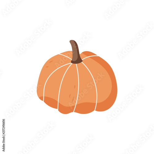 Cute Orange Autumn Pumpkin Illustration Isolated on White Background