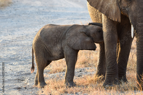 Fotografie Mother child love