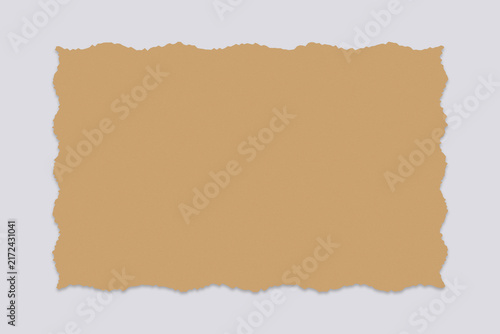 Blank Rectangular Piece of Worn Brown Paper Texture for Creative Vintage Projects and Decorative Craft Background Designs