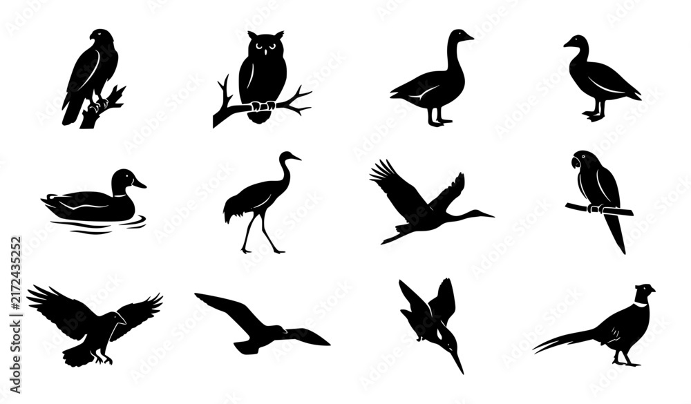 Naklejka premium Wild Bird Species in Natural Poses Black Silhouette Vector Collection
