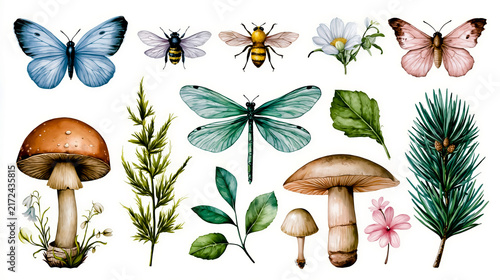 A collection of illustrations featuring various flora and fauna including mushrooms leaves flowers butterflies and bees