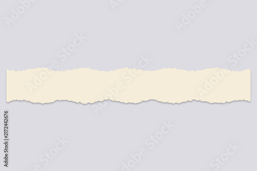 Horizontal Strip of Textured Cream Colored Paper with Torn Rough Edges for Decorative Scrapbooking and Creative Graphic Design Projects
