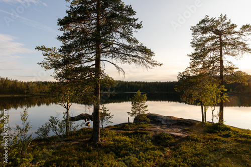 Golden Evening at Rollagstjonn in Trillemarka-Rollagsfjell, Norway