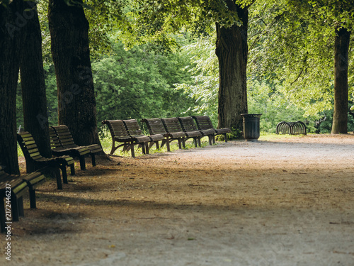 фотографія peaceful park benches under leafy trees