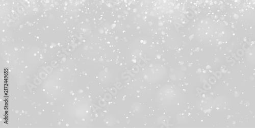 Obraz na plátně Realistic snowfall with fine detailed flakes