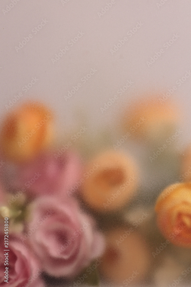 Naklejka premium Smoke selected soft focus cream beige pink, yellow Rose Flower through translucent matte frosted glass. Abstract natural blurred grain light fog background.