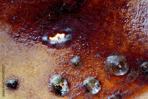 Abstract Glossy Red and Brown Paint Texture with Organic Surface Details