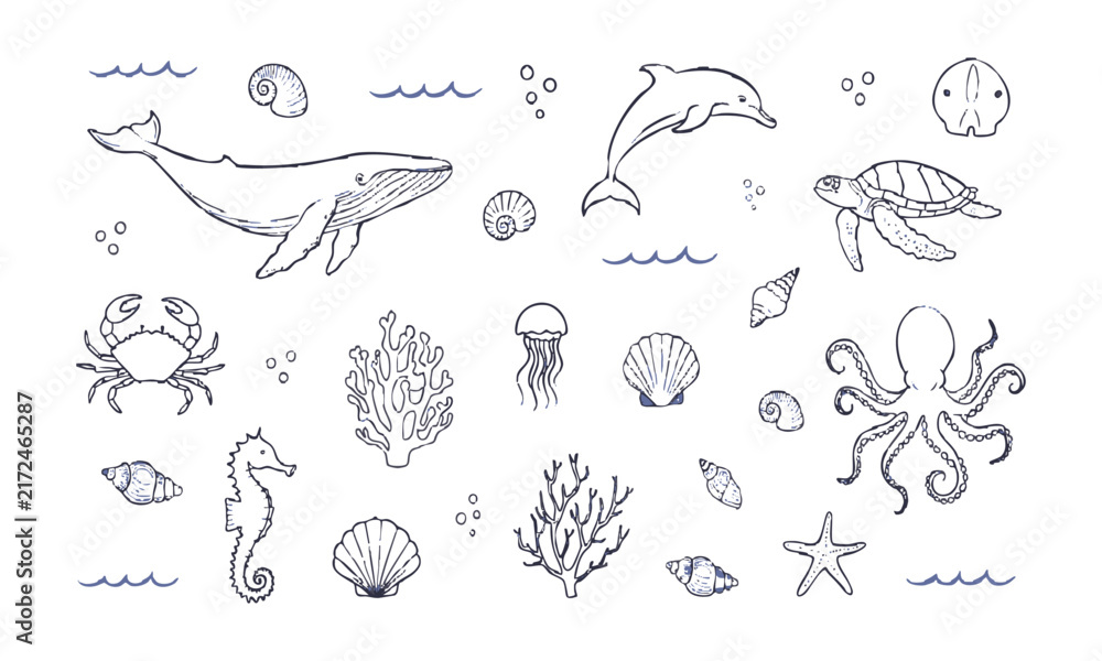 Obraz premium Hand Drawn Ocean Animals and Marine Elements Collection.