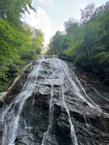 waterfall in the forest