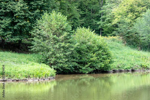 Small pond in a forest park