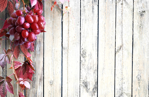 Wooden table top with grapes. Grape bushes background.