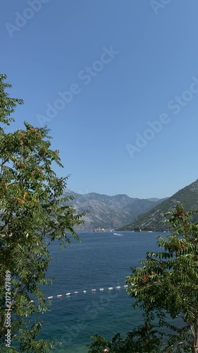 Scenic view of the Bay of Kotor in Montenegro with mountains rising from blue water, framed by green foliage