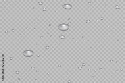 Bild auf Leinwand Water droplet micro bubbles on clear transparent background with soft silver highlights