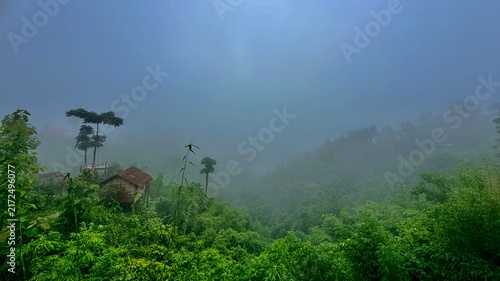 Early morning misty green mountain peak with wooden houses. fog in the forest.