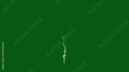 Soft white smoke drifting upward,steam smoke effect on green background,realistic steam cloud animation,seamless loop overlay,cinematic fog overlay, plume floating gently,slow motion, 4k