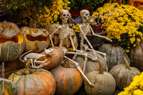 Obraz na plátne halloween skeletons