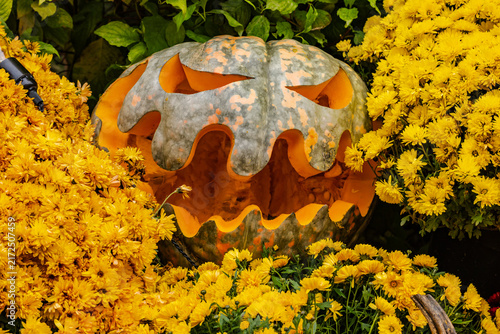 Obraz na płótnie Jack-o-lantern macro