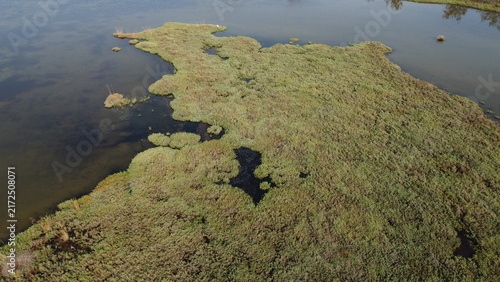 Aerial View of Lio Piccolo Marshlands in the Venice Lagoon