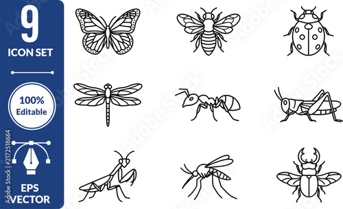 Vector set of outline icons featuring various insects including butterfly bee and ladybug