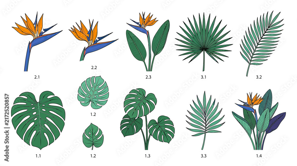 Naklejka premium Tropical Plants and Flowers Collection Isolated