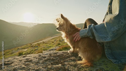 Sunset view from a rocky spot with a person and a small dog enjoying the scenery