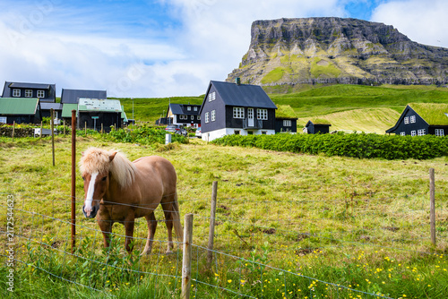 Fotografie Friendly horse standing behind a fence in front of picturesque wooden houses in