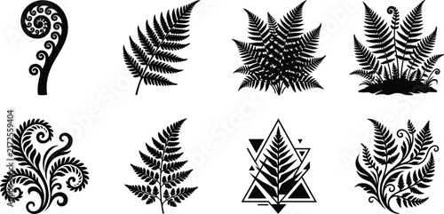 Botanical fern leaf illustration set featuring fiddlehead fronds, forest foliage silhouettes, koru motif, and decorative geometric elements