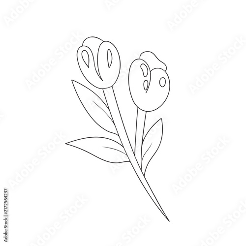 Coloring flowers