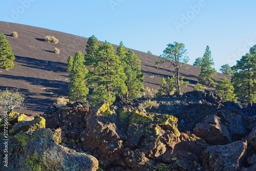 Pine trees on a cinder hill with rocks and boulders in the foreground. Sunset Crater Volcano National Monument, Flagstaff, Arizona.