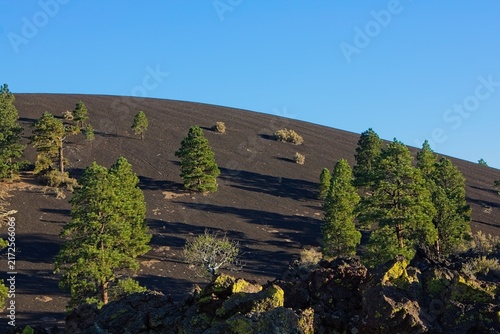 Pine trees on a cinder hill with rocks and boulders in the foreground. Sunset Crater Volcano National Monument, Flagstaff, Arizona.
