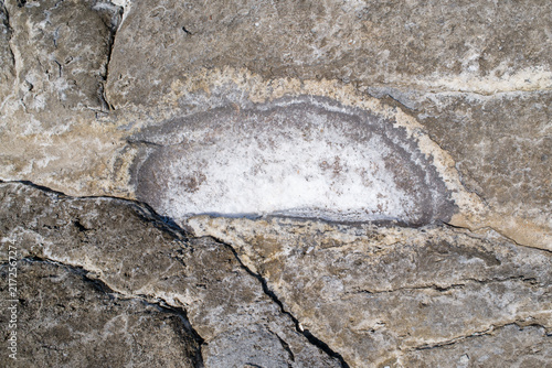 Natural Salt Deposit in Rock Formation, Close Up Stone Texture