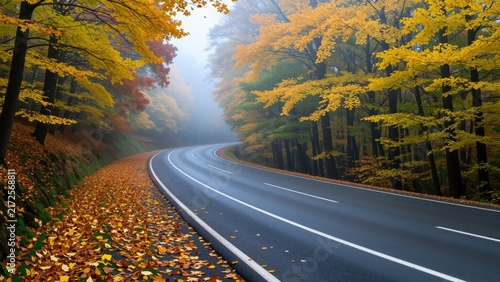 Empty winding road through colorful autumn forest landscape with vibrant yellow, orange, and green foliage during daytime, scenic outdoor travel scene